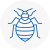 Bed Bug Extermination In Sandbach