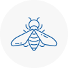 Bee Nest Removal Sandbach