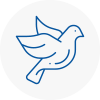 Bird Prevention Sandbach