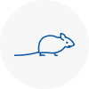 Mice Exterminators In Sandbach