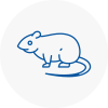 Rat Control Sandbach