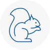 Sandbach Rodent Removals